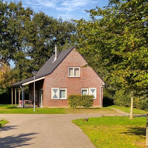 Summio Bosparc de Hoevenaer - Camping Halderberge - Afbeelding N°5