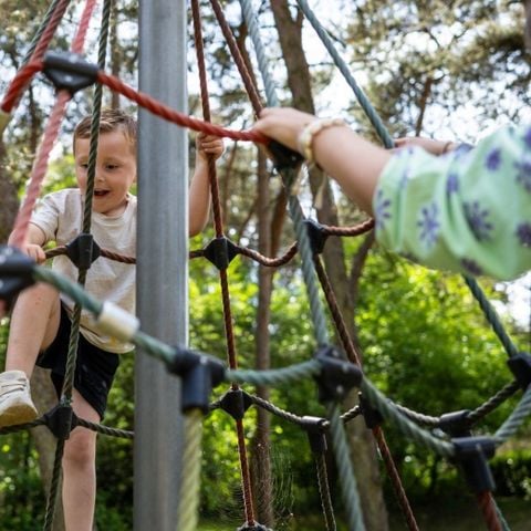 Camping Roland - Bergen - Afbeelding N°3