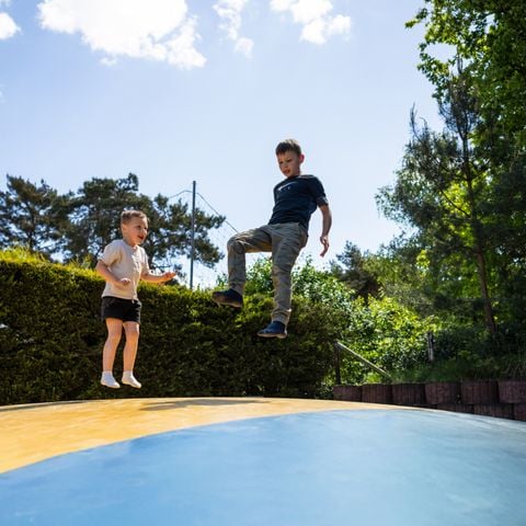 Camping Roland - Bergen - Afbeelding N°4