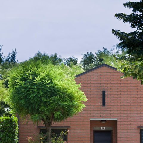 APPARTEMENT 4 personen - Bungalow