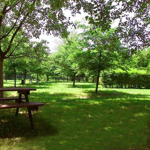Bologna Easy Camping Village - Camping Modena - Afbeelding N°3