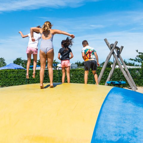 Vakantiepark de Boomgaard - Camping Veere - Afbeelding N°6
