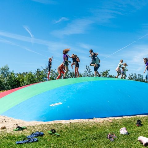 Vakantiepark de Boomgaard - Camping Veere - Afbeelding N°4