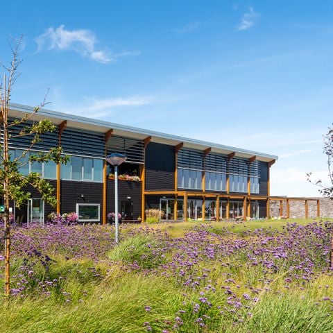 Vakantiepark de Boomgaard - Camping Veere - Afbeelding N°2