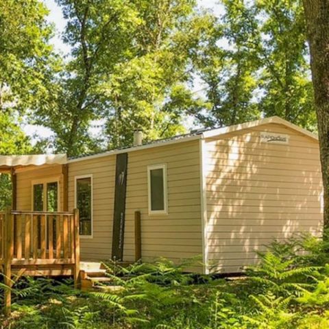 Stacaravan 4 personen - 4P Premium