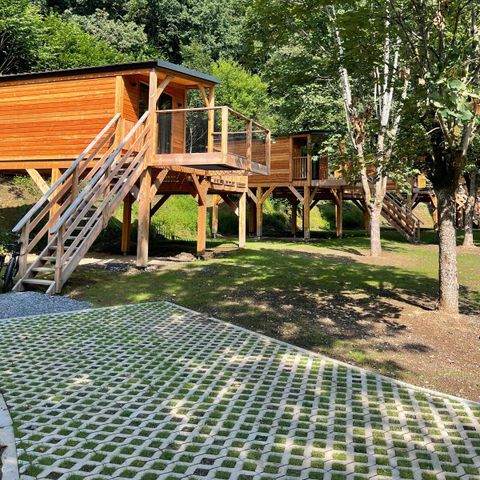 UNIEKE ACCOMMODATIE 2 personen - Tree House 2 personen