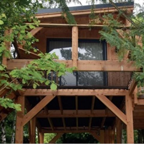 UNIEKE ACCOMMODATIE 2 personen - Tree House 2 personen