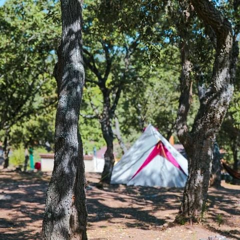 Camping Ladouceur - Ramatuelle Saint Tropez - Camping Var - Afbeelding N°2