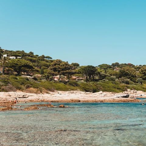 Camping Ladouceur - Ramatuelle Saint Tropez - Camping Var - Afbeelding N°3
