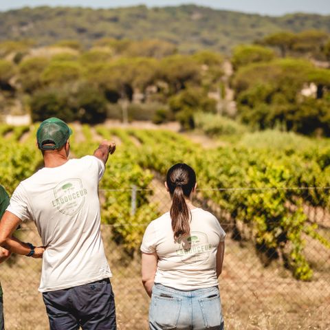 Camping Ladouceur - Ramatuelle Saint Tropez - Var - Afbeelding N°2