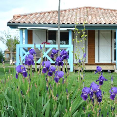 Chalet 10 personen - Lodge chalet Twin 65m²+35m²