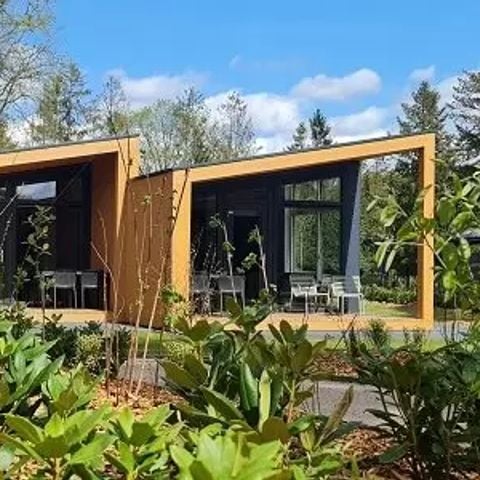 Lodgepark 't Vechtdal - Camping Dalfsen - Afbeelding N°3