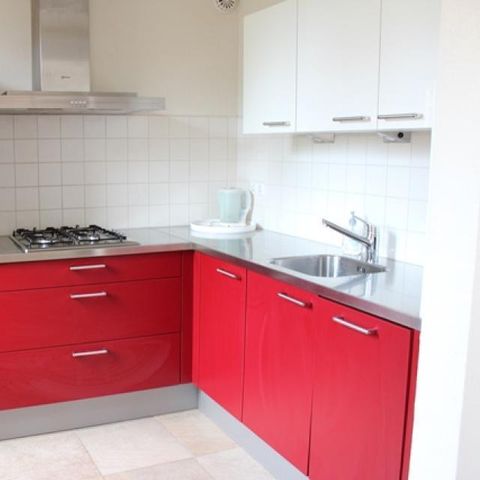 Bungalow 5 personen - Duin 134