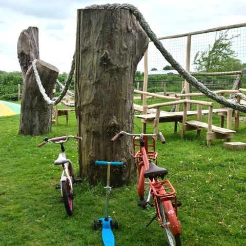 Bungalowpark Mooyeveld - Bergen - Afbeelding N°5