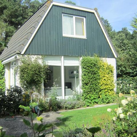 Bungalowpark Mooyeveld - Bergen - Afbeelding N°3