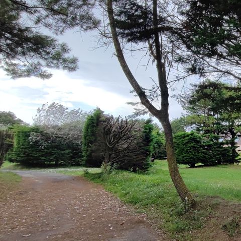 VVF Camping Les Dunes Créances - Manche - Afbeelding N°3