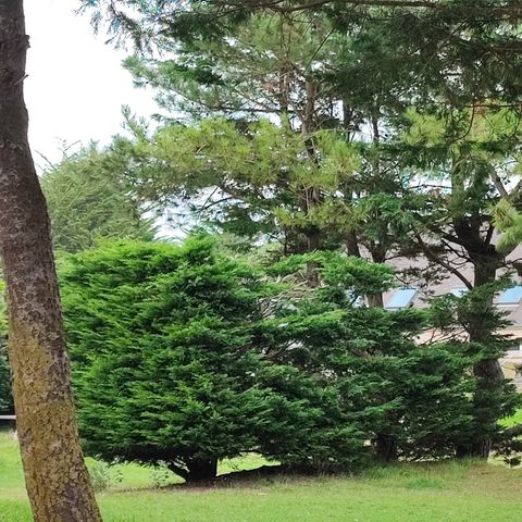 VVF Camping Les Dunes Créances - Manche - Afbeelding N°2