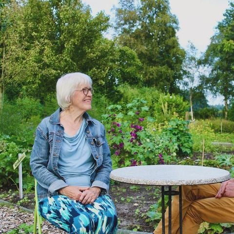 Boetiekpark de Kas - Camping Scherpenzeel - Afbeelding N°5