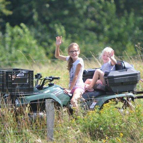 Erve Woolderink - Camping Wierden - Afbeelding N°2