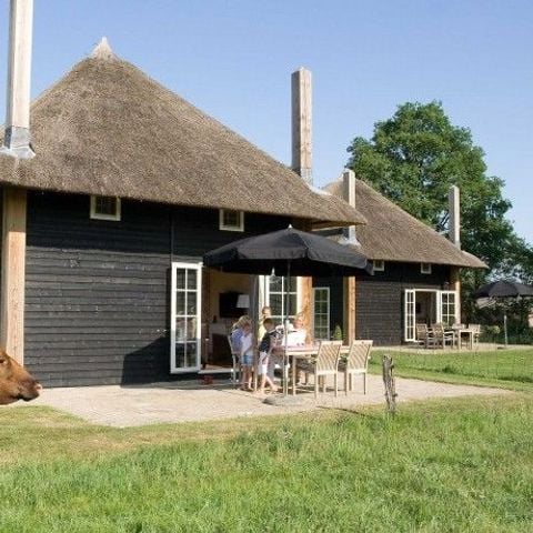 VAKANTIEHUIS 5 personen - Reggehooiberg