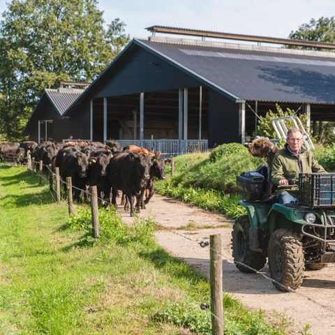 VAKANTIEHUIS 5 personen - Reggehooiberg