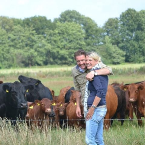 Erve Woolderink - Camping Wierden - Afbeelding N°5