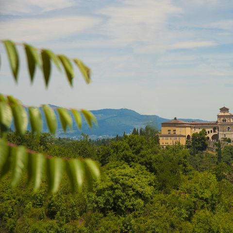 hu Firenze Certosa camping - Camping Florence - Afbeelding N°5