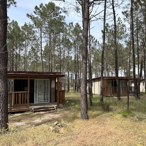 Por el Parque De Campismo São Miguel - Alentejo - Portugal - Afbeelding N°6