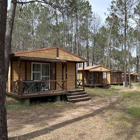 Por el Parque De Campismo São Miguel - Alentejo - Portugal - Afbeelding N°5