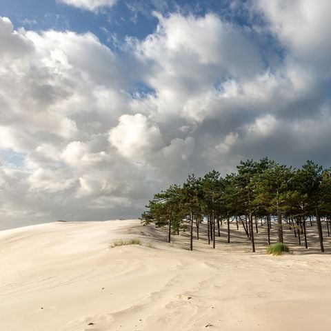 Vakantiepark Schoorlse Duinen - Camping Bergen - Afbeelding N°6