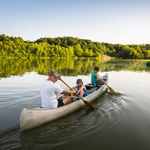 Dormio Hotel Der Seehof - Noordrijn-Westfalen - Afbeelding N°4