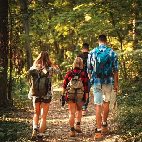 Dormio Hotel Der Seehof - Noordrijn-Westfalen - Afbeelding N°5