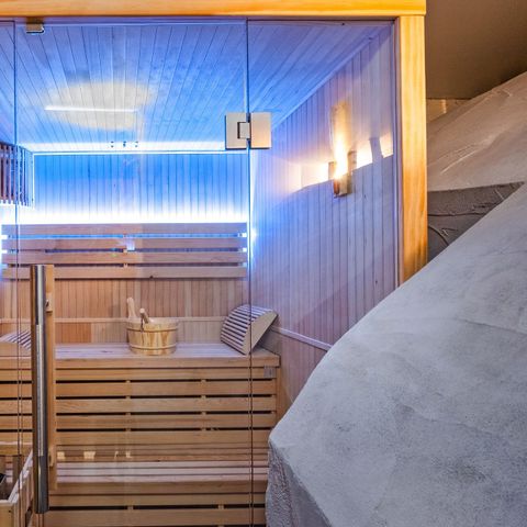 Chalet Odalys Duc Blanc  - Savoie - Afbeelding N°2