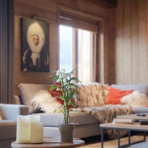 Chalet 14 personen - Chalet voor 14 personen (ca. 300 m²)