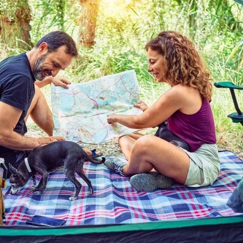 Urban Gardens Ieper - Camping West-Vlaanderen - Afbeelding N°6
