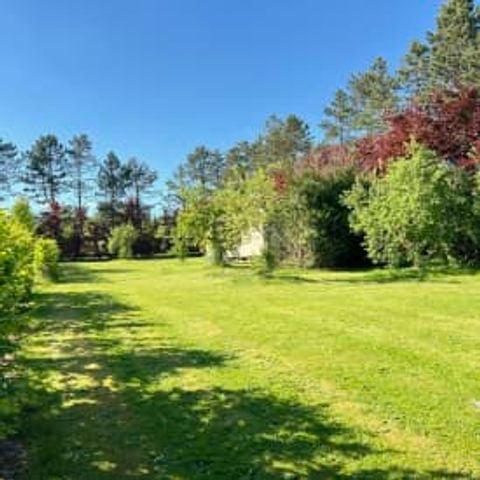 UNIEKE ACCOMMODATIE 2 personen - Pine Tree Tiny Cottage