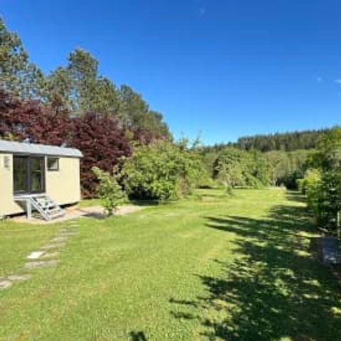 UNIEKE ACCOMMODATIE 2 personen - Pine Tree Tiny Cottage