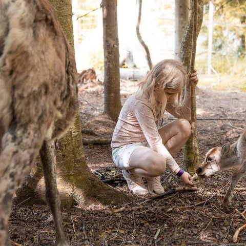 Valkeisen Loma - Central Finland - Afbeelding N°2
