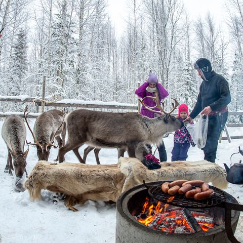 Valkeisen Loma - Central Finland - Afbeelding N°4