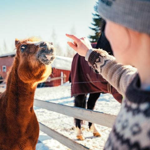 Valkeisen Loma - Central Finland - Afbeelding N°5