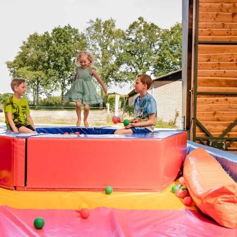  Charmecamping & Appartementen De Regge-Vallei  - Twenterand - Afbeelding N°5