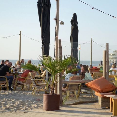 Roompot Beach Villa's - Camping Rotterdam - Afbeelding N°4