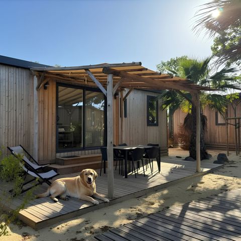 Lodge 6 personen - Marsanne 6 Hondvriendelijk