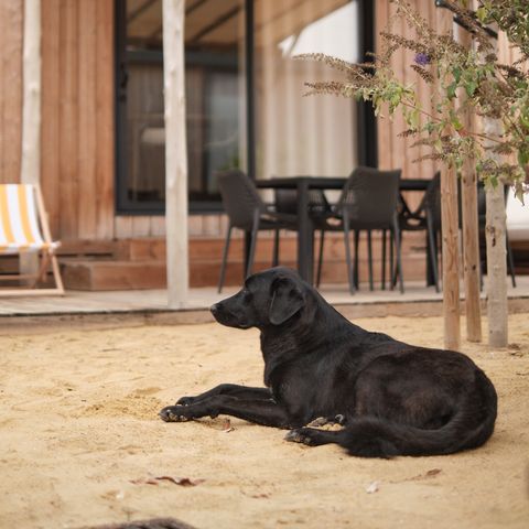 Lodge 6 personen - Marsanne 6 Hondvriendelijk