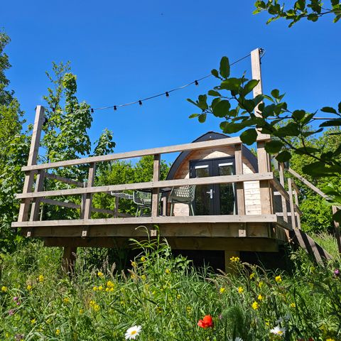 Tiny House 2 personen - De Piiptsjilling