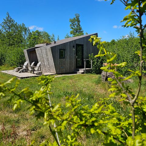 Tiny House 3 personen - De Wylp