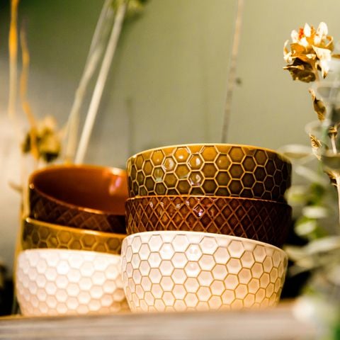 Lodge 4 personen - Waterlodge Sweltsje