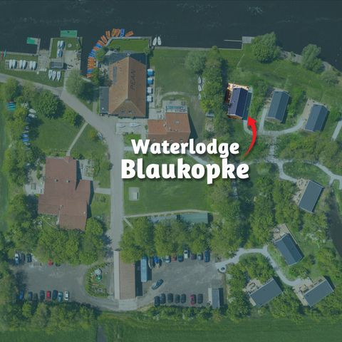 Lodge 6 personen - Waterlodge Blaukopke