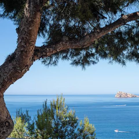 Pierre & Vacances Résidence Benidorm Horizon - Alicante - Afbeelding N°6