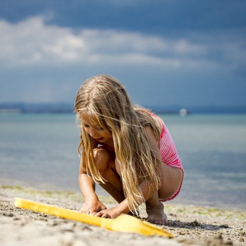 Duincamping de Lepelaar - Schagen - Afbeelding N°2